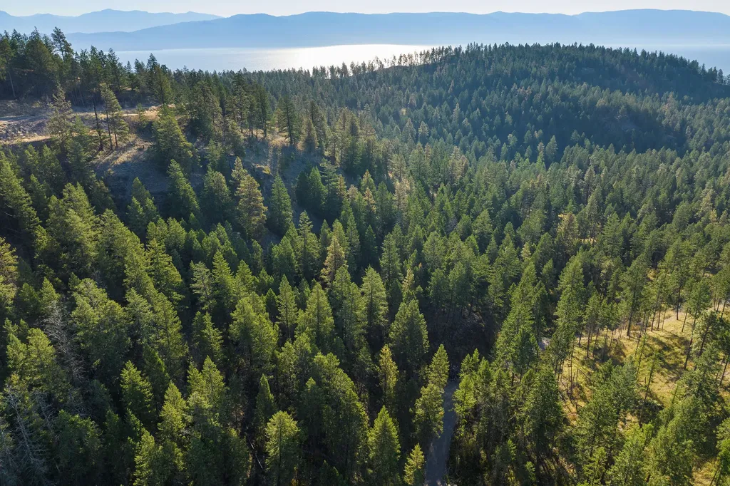 207 Angel Point Preserve Lakeside MT 59922