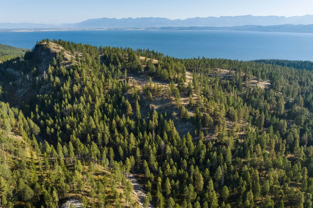 207 Angel Point Preserve Lakeside MT 59922