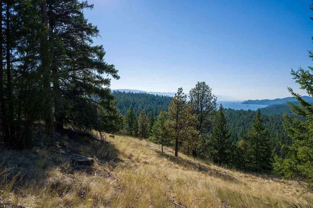 207 Angel Point Preserve Lakeside MT 59922