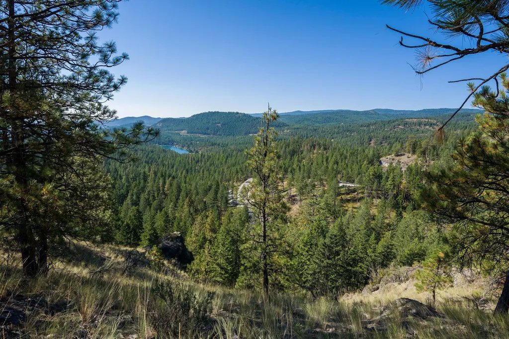 207 Angel Point Preserve Lakeside MT 59922
