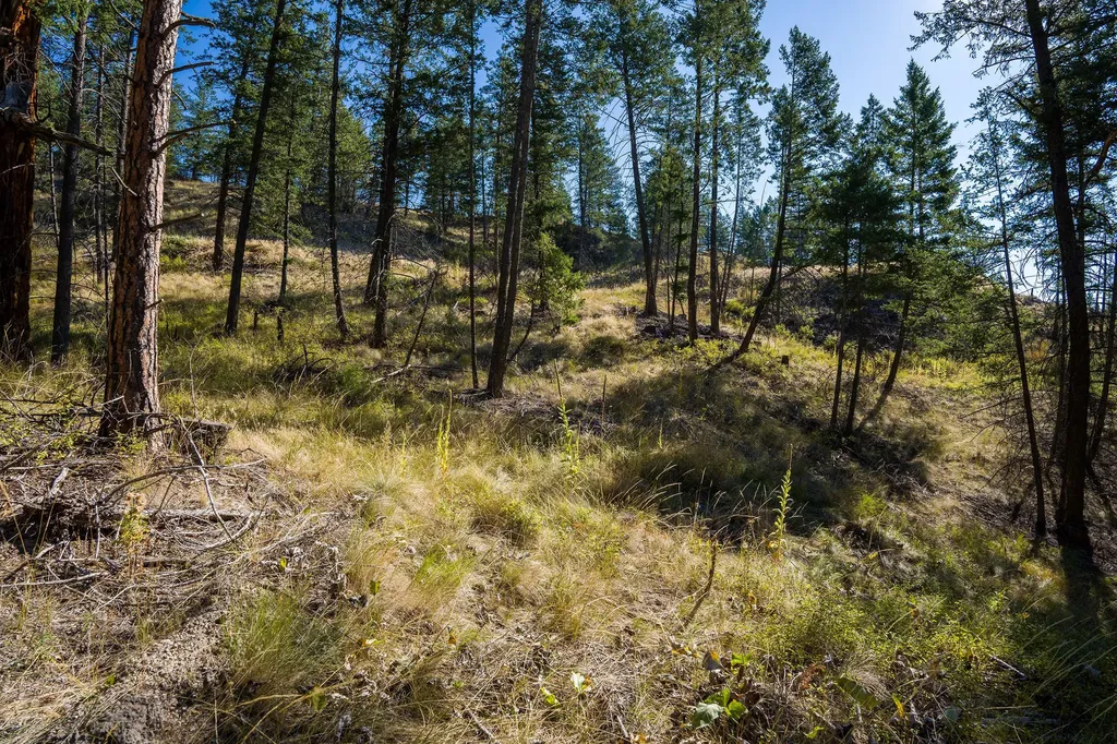 207 Angel Point Preserve Lakeside MT 59922
