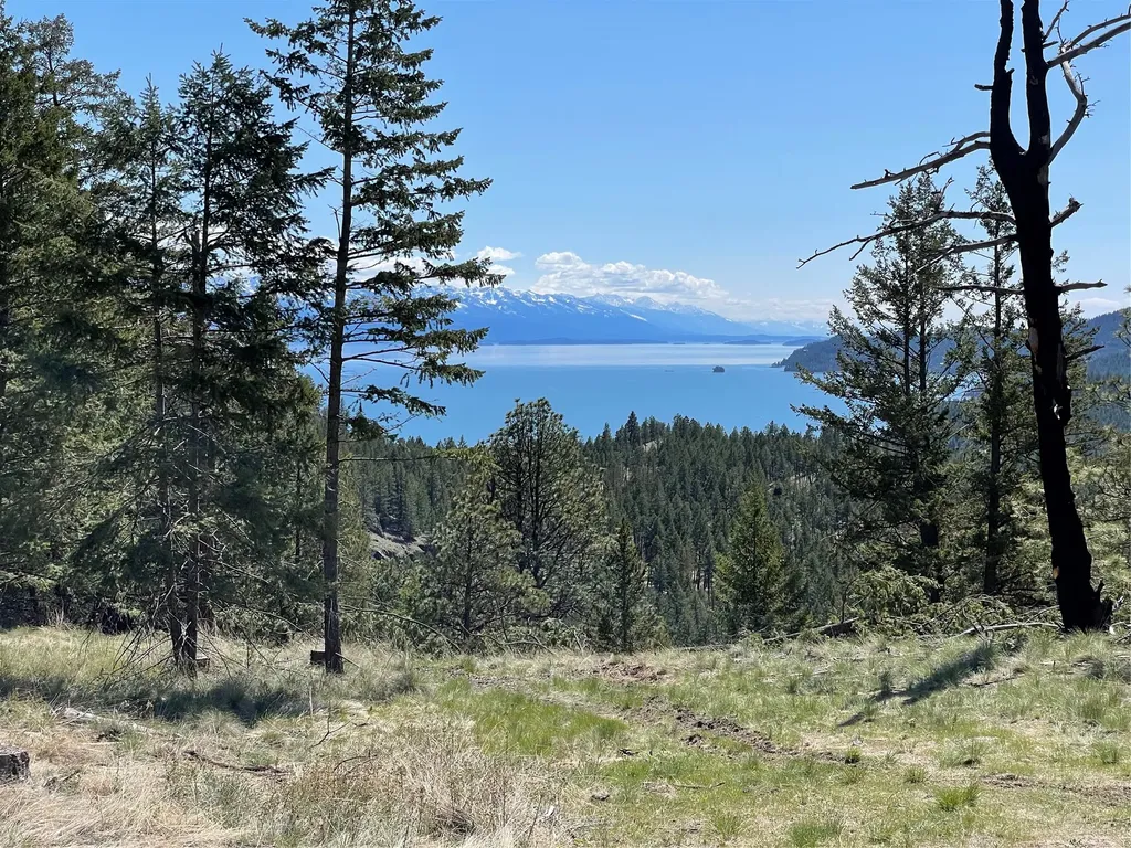 207 Angel Point Preserve Lakeside MT 59922