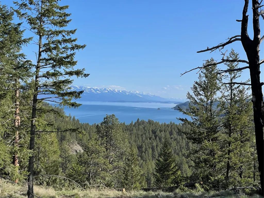 207 Angel Point Preserve Lakeside MT 59922
