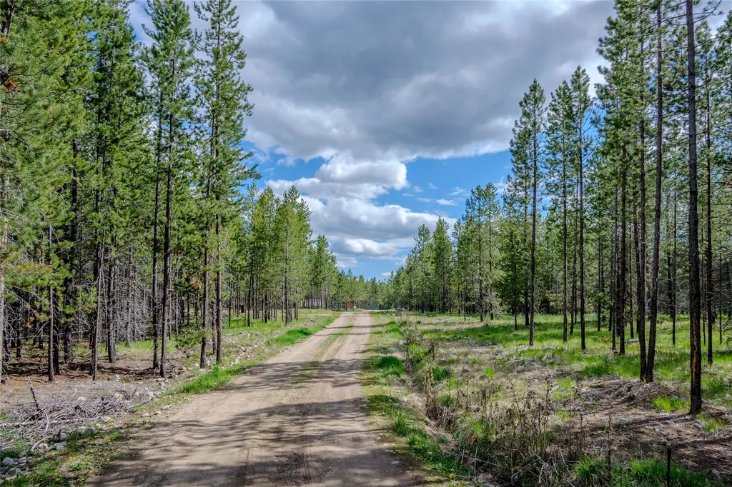675 Griz Lane Marion MT 59925