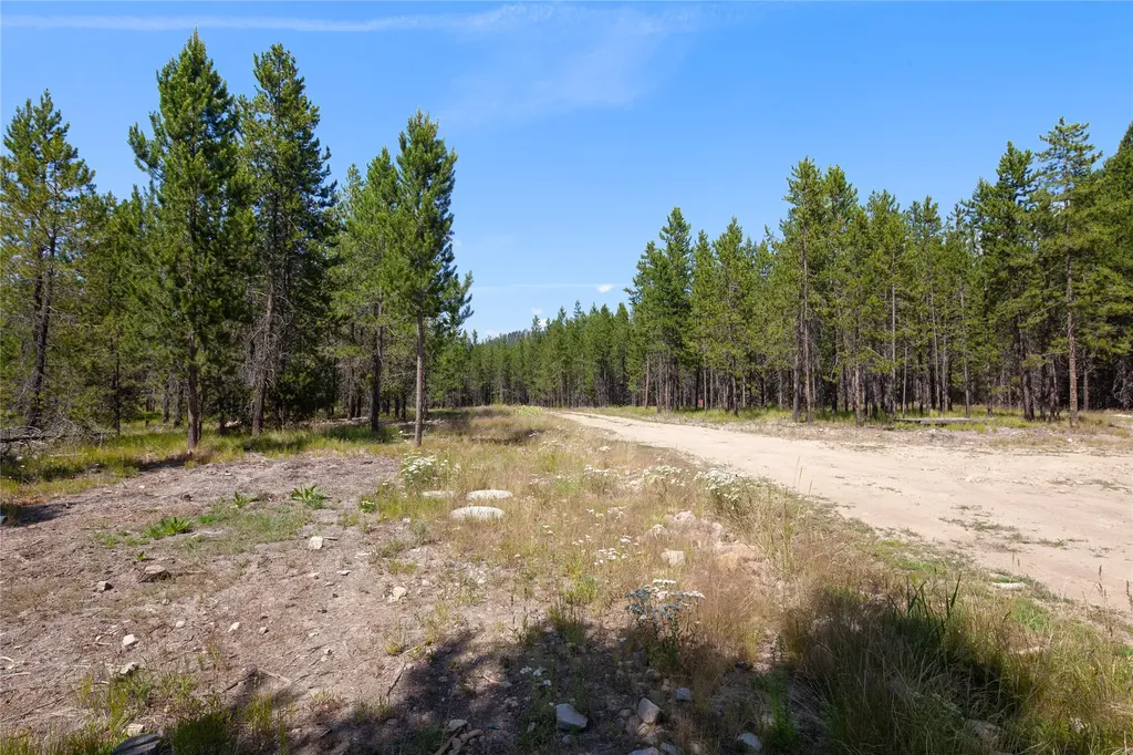 675 Griz Lane Marion MT 59925