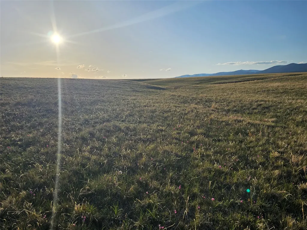Nhn Red Hill Road Ryegate MT 59074