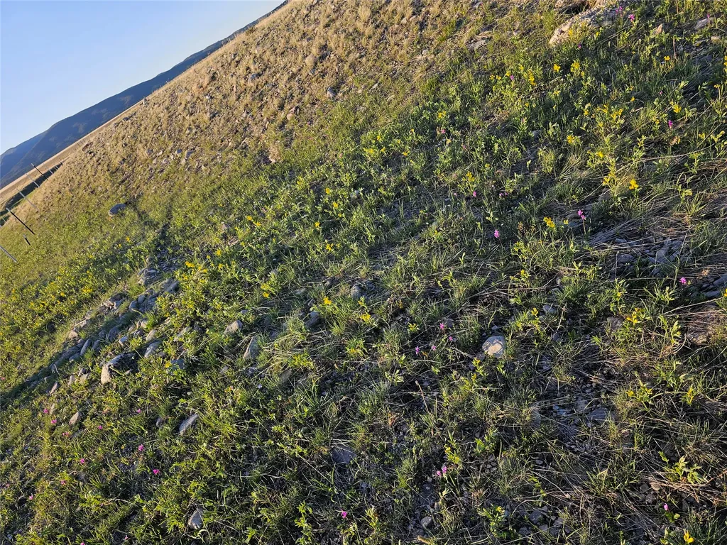 Nhn Red Hill Road Ryegate MT 59074