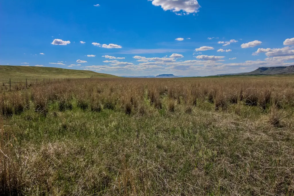 Tract 29 Old Ulm Cascade Road Cascade MT 59421