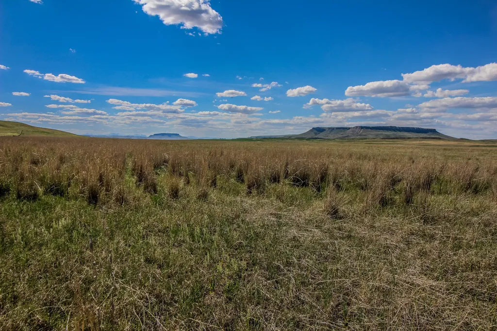 Tract 29 Old Ulm Cascade Road Cascade MT 59421