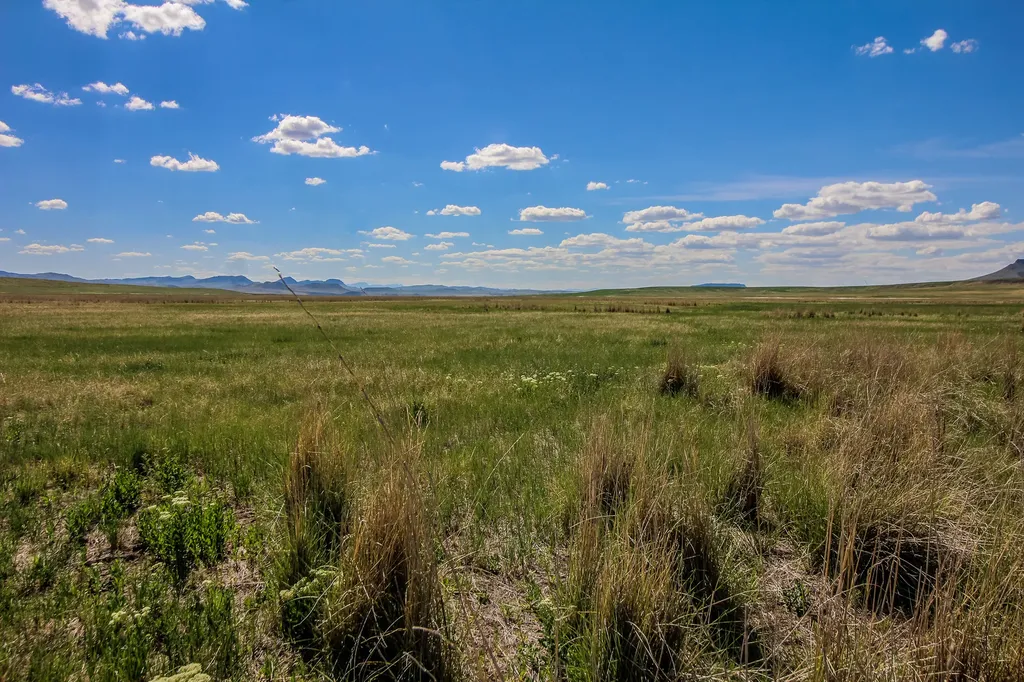 Tract 30 Old Ulm Cascade Road Cascade MT 59421
