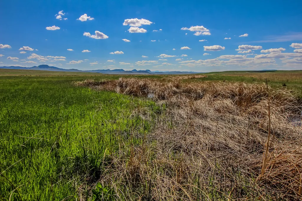 Tract 28 Oid Ulm Cascade Road Cascade MT 59421
