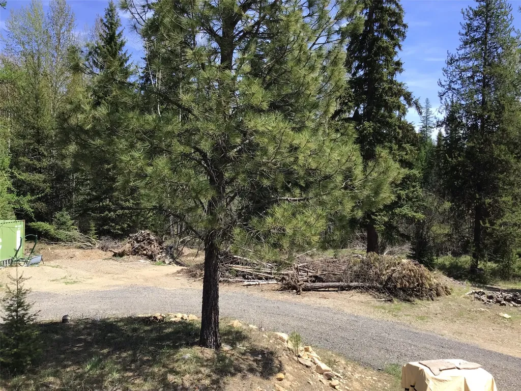 360 Valley Drive De Borgia MT 59830