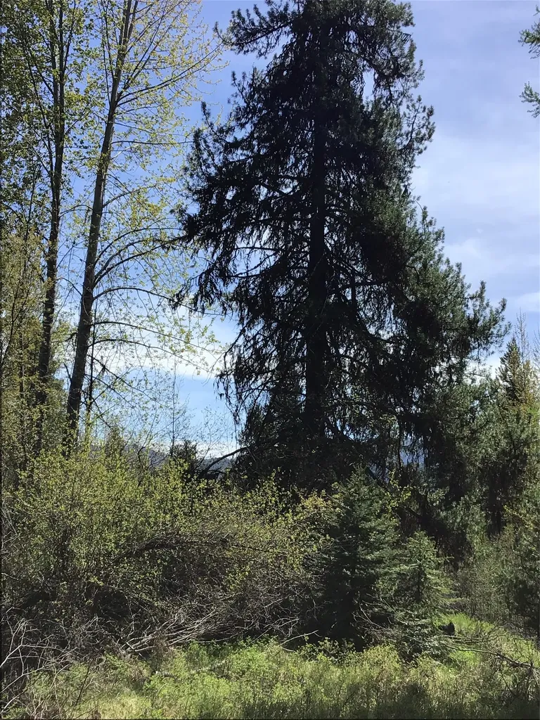 360 Valley Drive De Borgia MT 59830