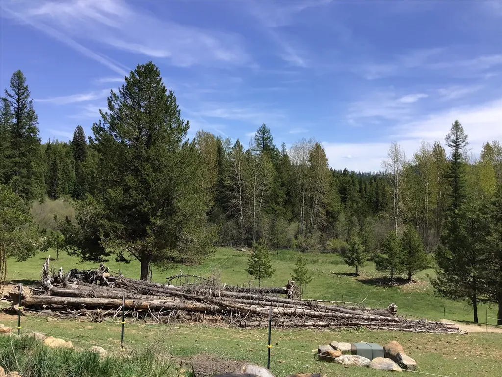360 Valley Drive De Borgia MT 59830
