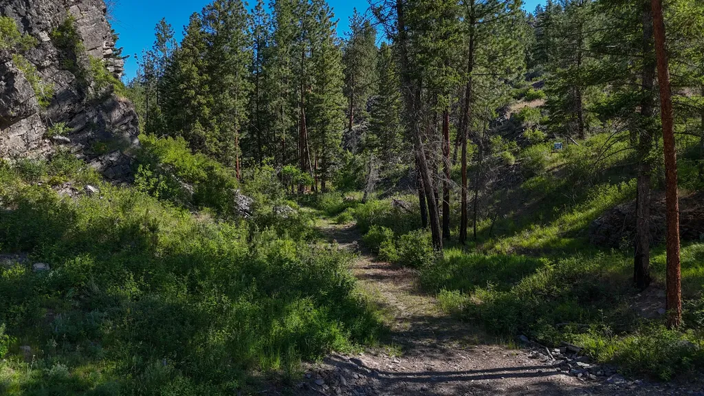 6961 Mount Highway 200 Plains MT 59859