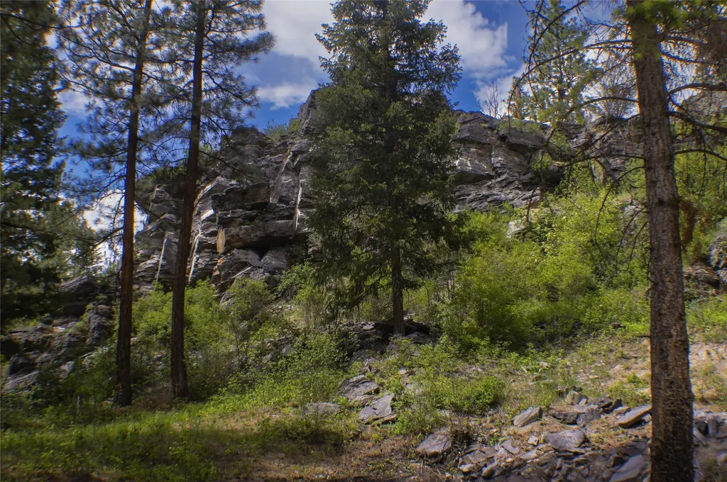 6961 Mount Highway 200 Plains MT 59859