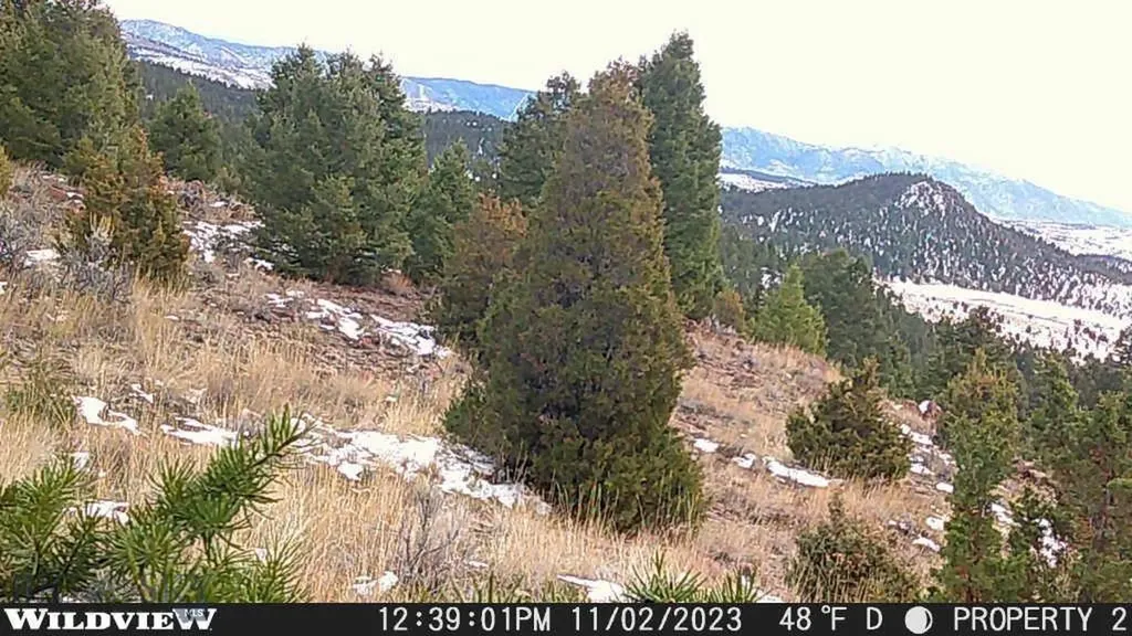 Lot 74 Pony Expressway Trail Ramsay MT 59748