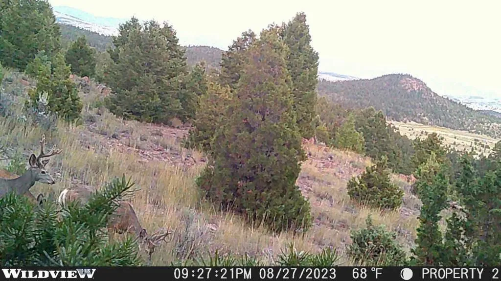 Lot 74 Pony Expressway Trail Ramsay MT 59748