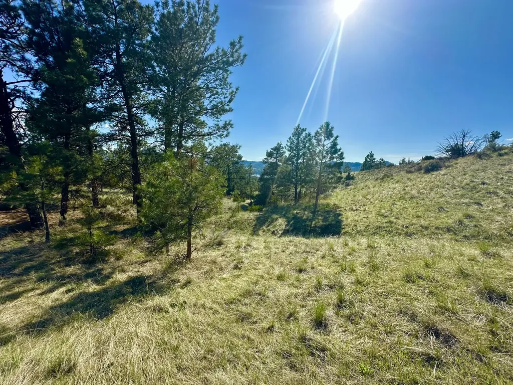 3940 Northstar Court Helena MT 59602