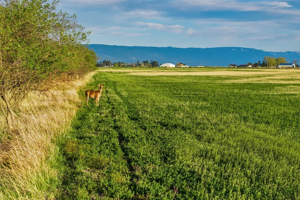 465 Farm Road Kalispell MT 59901