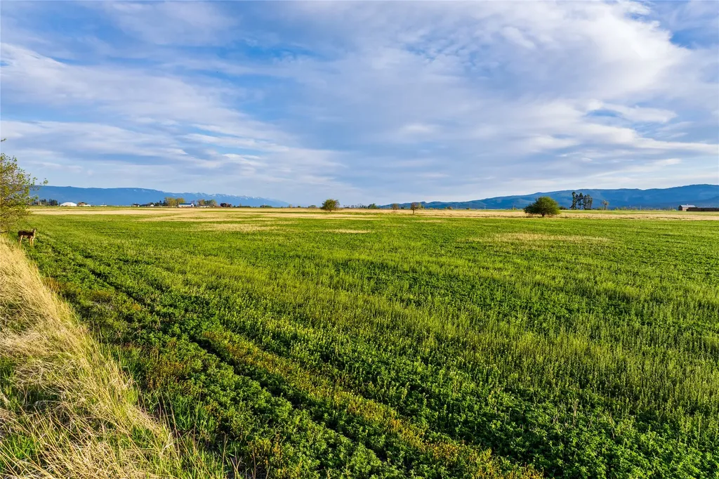 465 Farm Road Kalispell MT 59901
