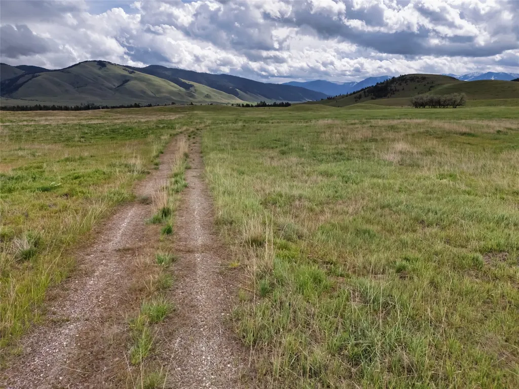 Nhn Plant Lane Arlee MT 59821