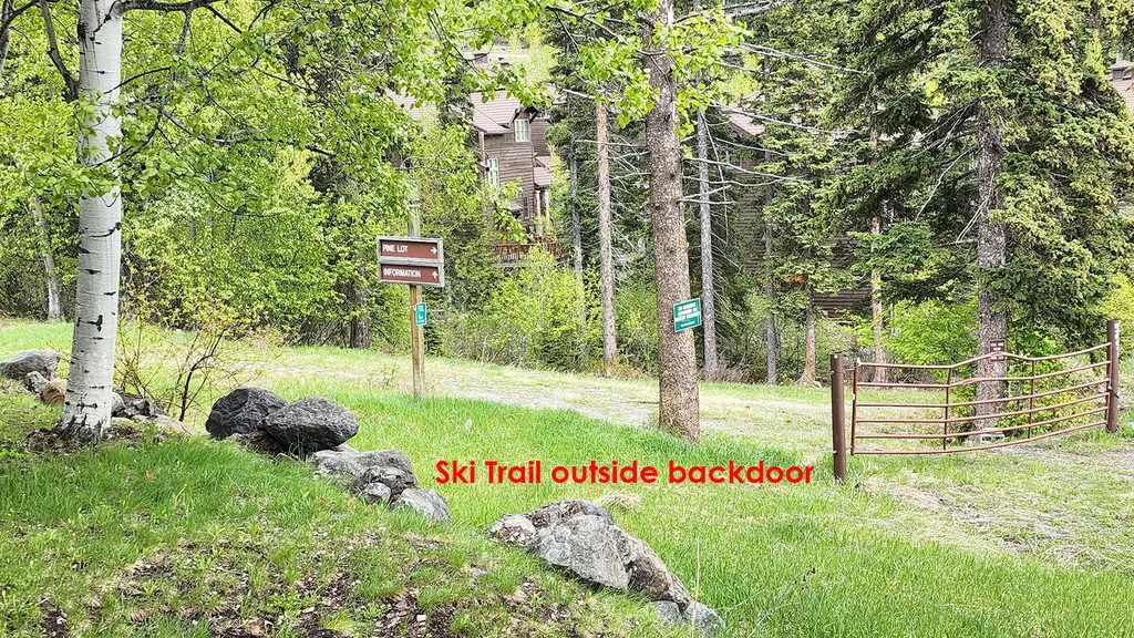 349 Moose Run Drive Whitefish MT 59937