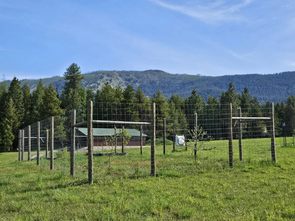 5 Fernwood Way Trout Creek MT 59874