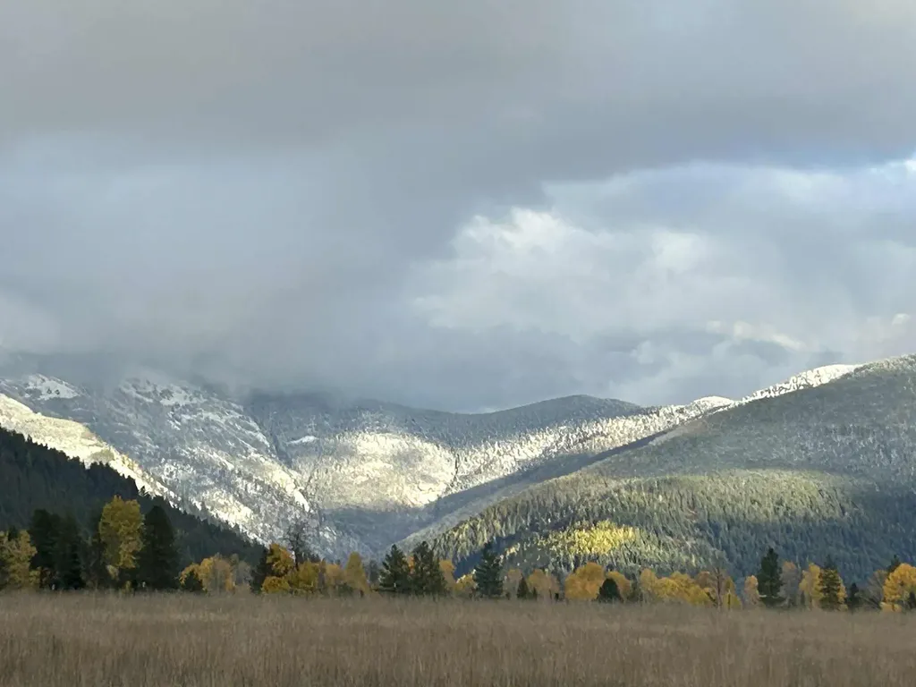 5 Fernwood Way Trout Creek MT 59874