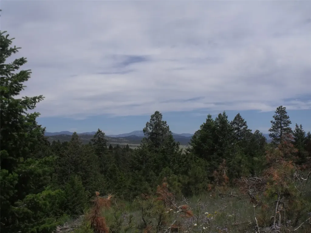 Tbd Hidden Springs Drive Helena MT 59602