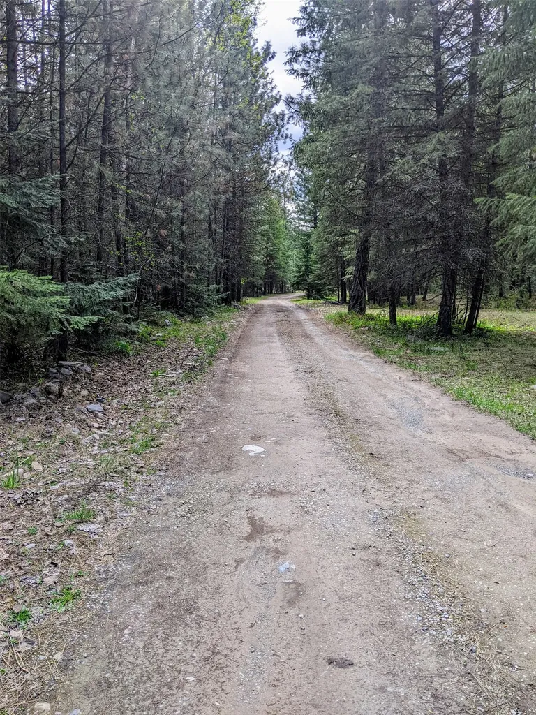 Nhn Little Deer Drive Plains MT 59859