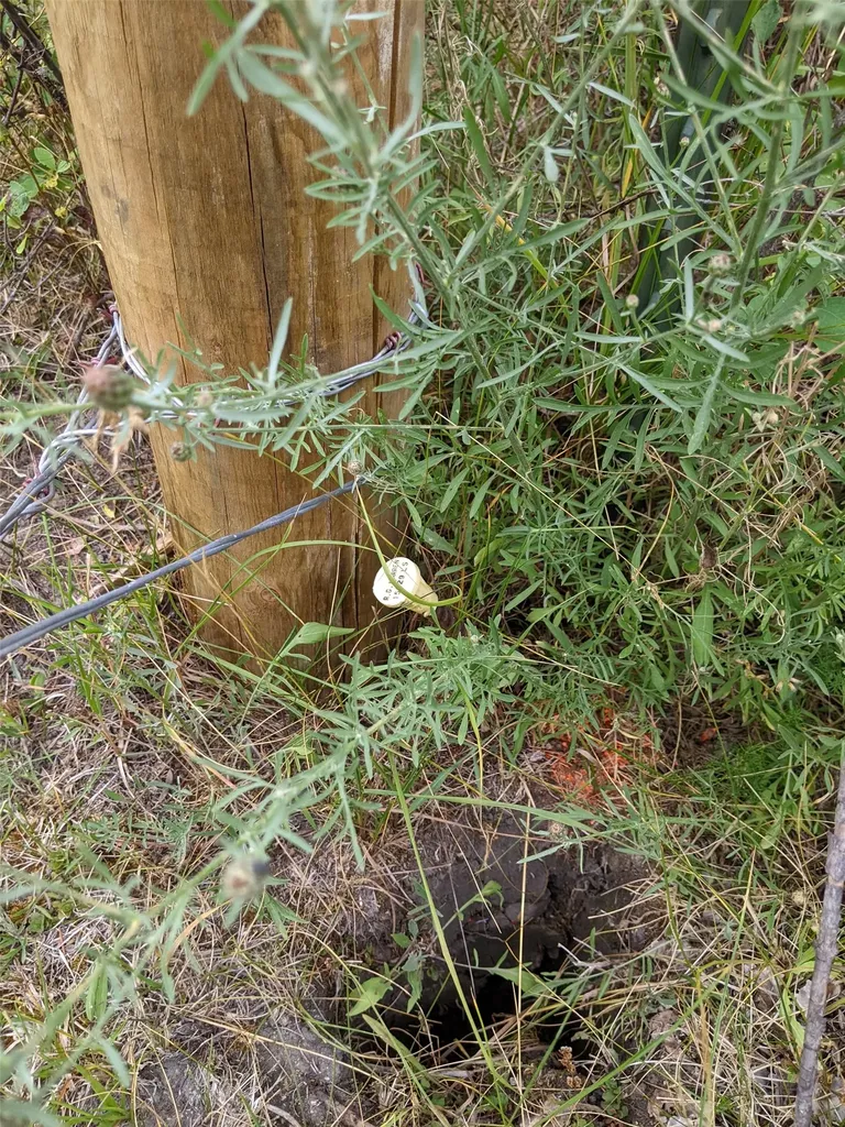 Nhn Little Deer Drive Plains MT 59859