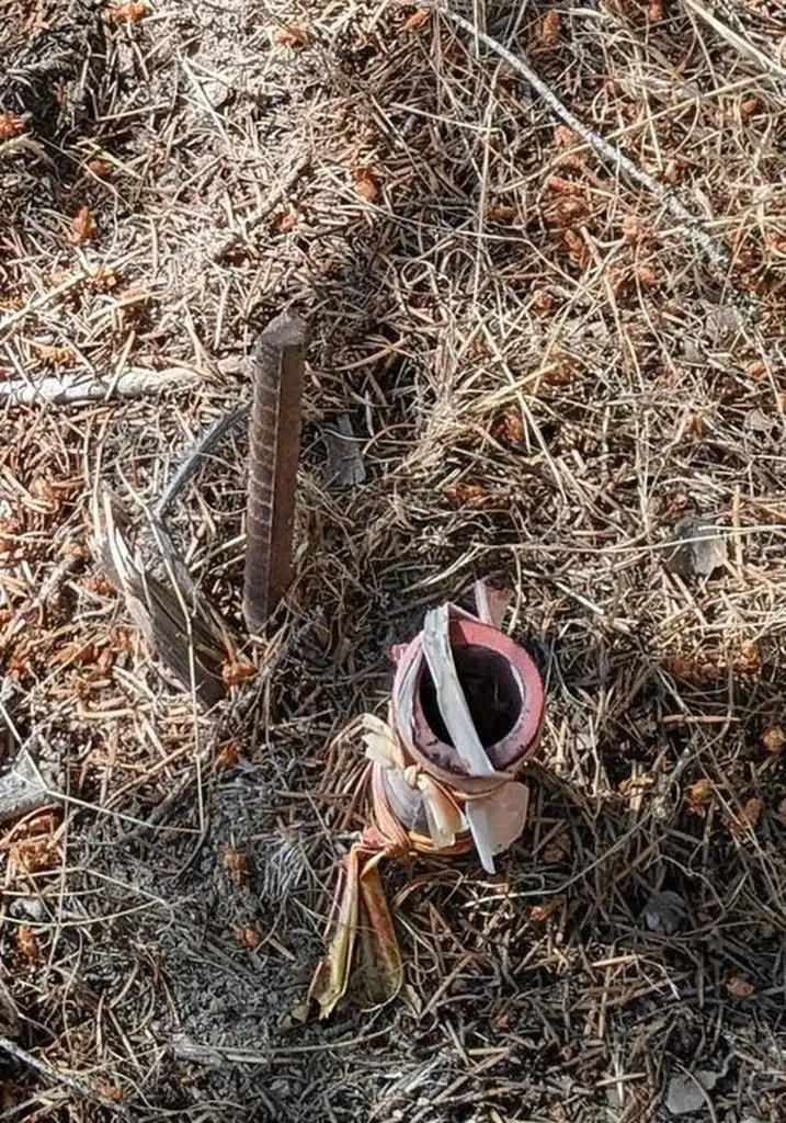 Nhn Little Deer Drive Plains MT 59859