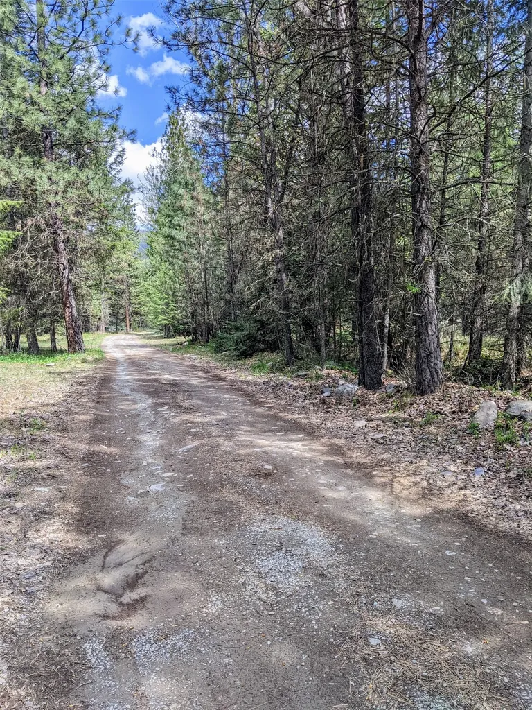 Nhn Little Deer Drive Plains MT 59859