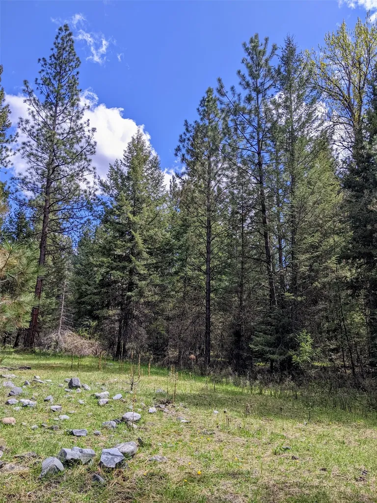Nhn Little Deer Drive Plains MT 59859