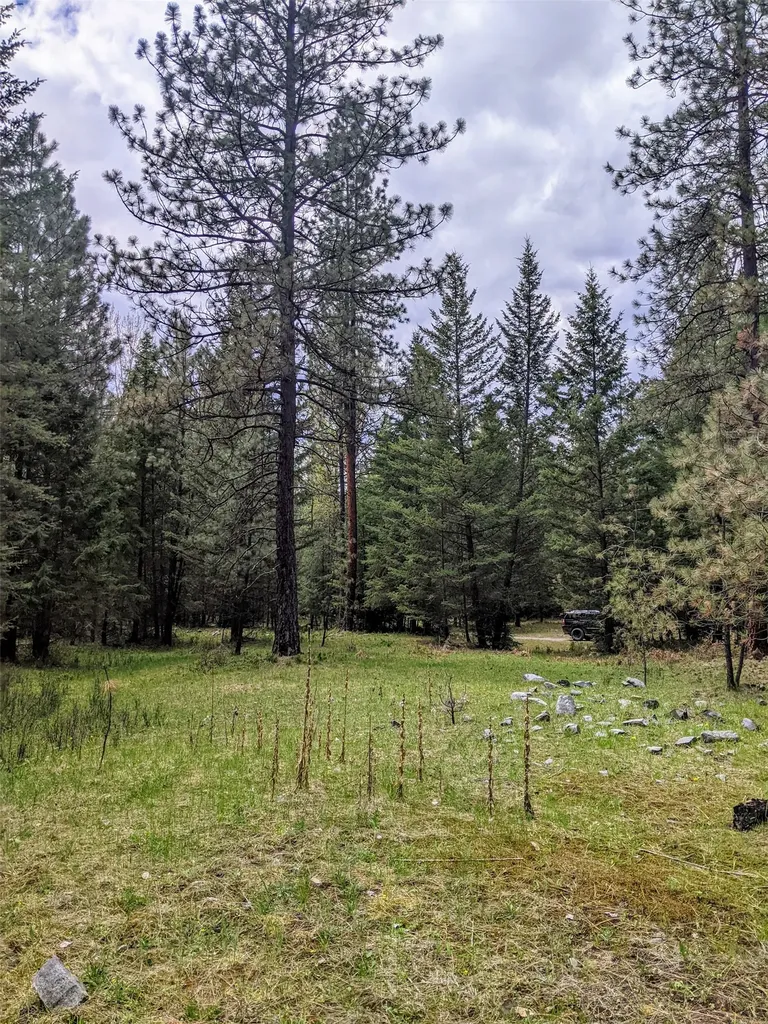 Nhn Little Deer Drive Plains MT 59859