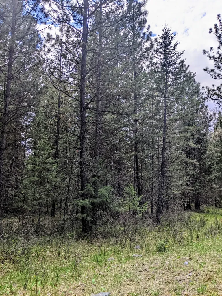 Nhn Little Deer Drive Plains MT 59859