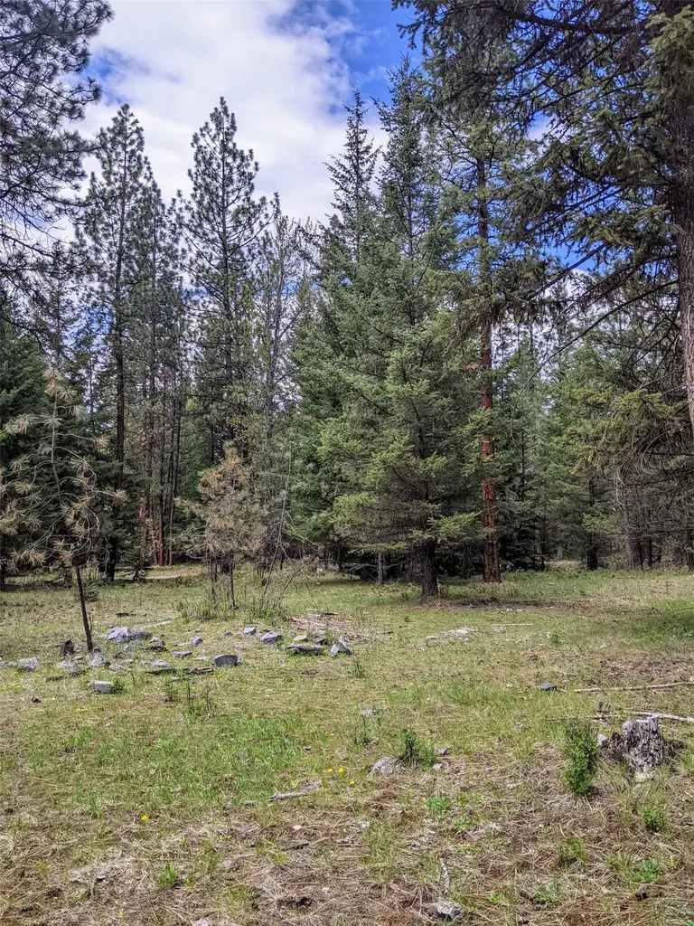 Nhn Little Deer Drive Plains MT 59859