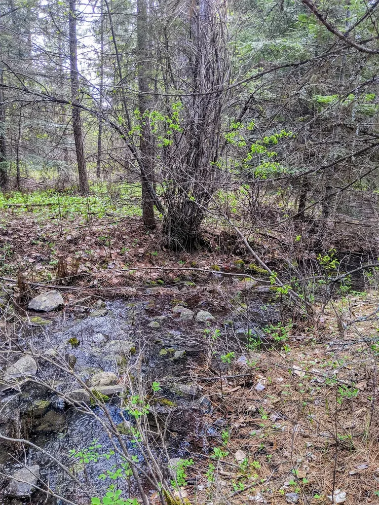Nhn Little Deer Drive Plains MT 59859