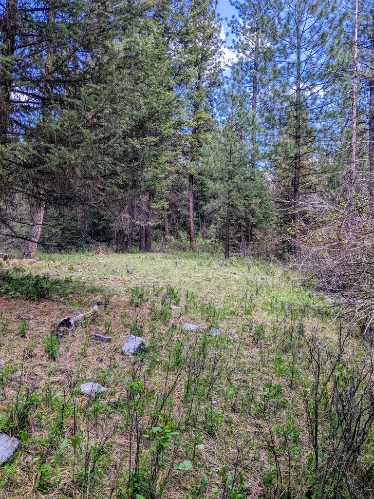 Nhn Little Deer Drive Plains MT 59859