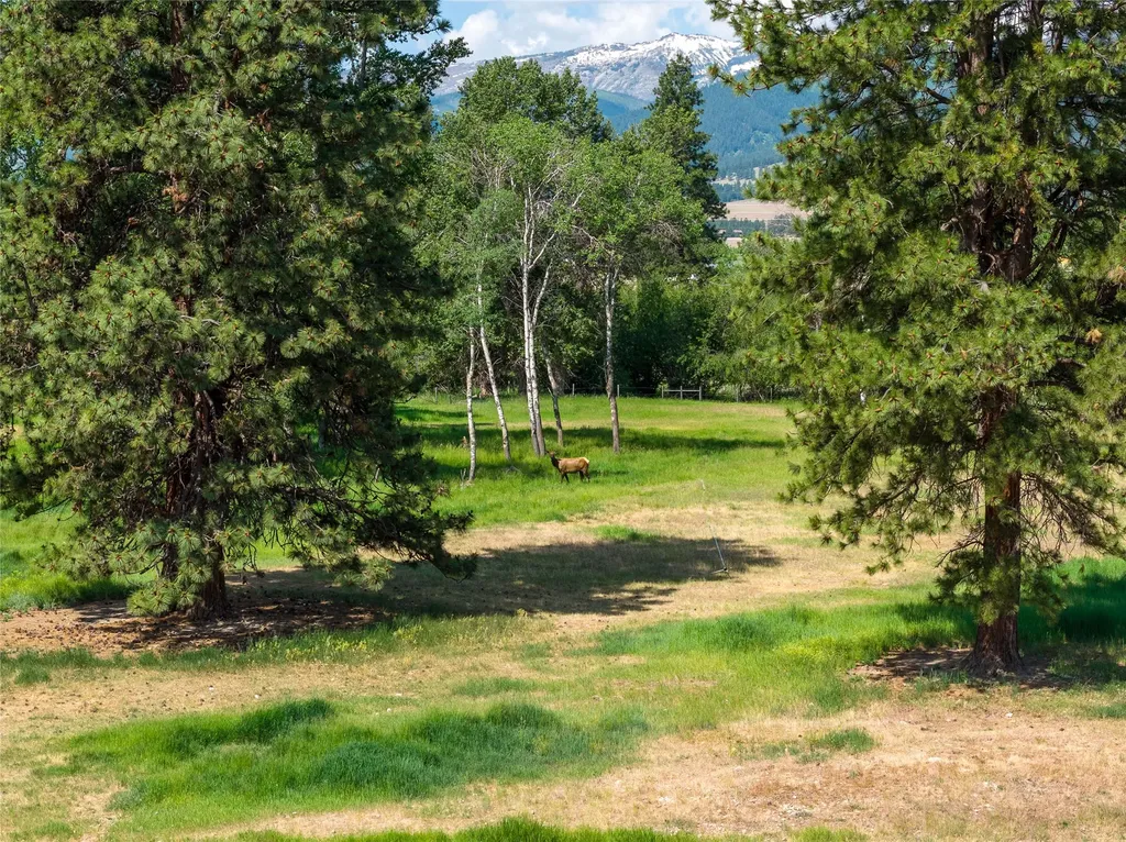 81 And 83 Bell Crossing W Stevensville MT 59870