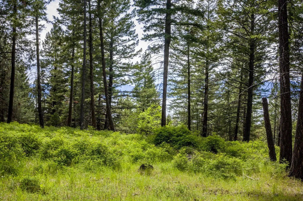 28 Doubletree Drive Bigfork MT 59911