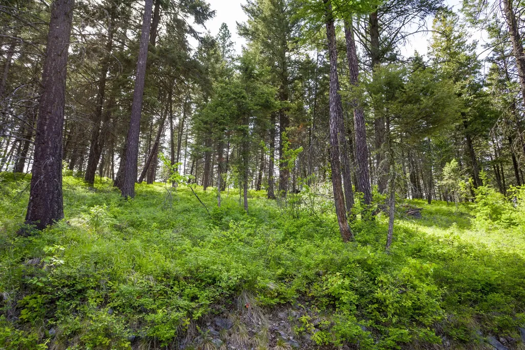 28 Doubletree Drive Bigfork MT 59911
