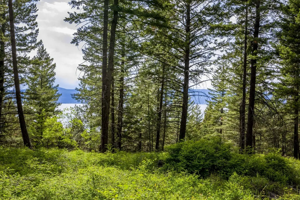 28 Doubletree Drive Bigfork MT 59911