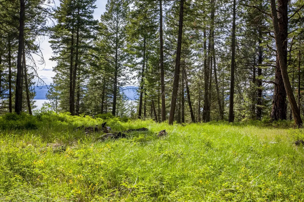 28 Doubletree Drive Bigfork MT 59911