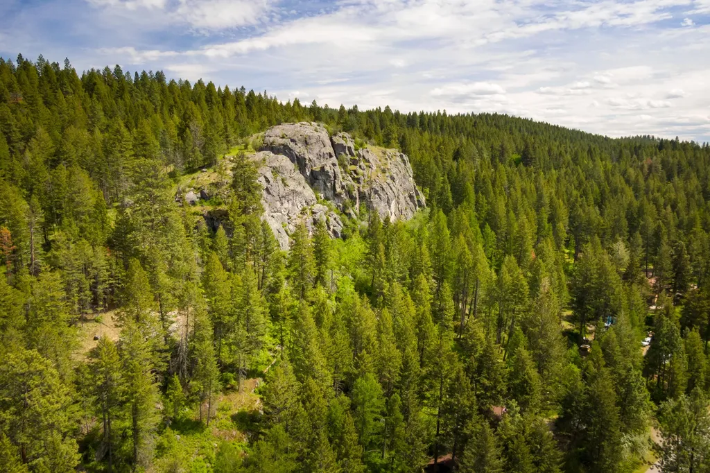 28 Doubletree Drive Bigfork MT 59911