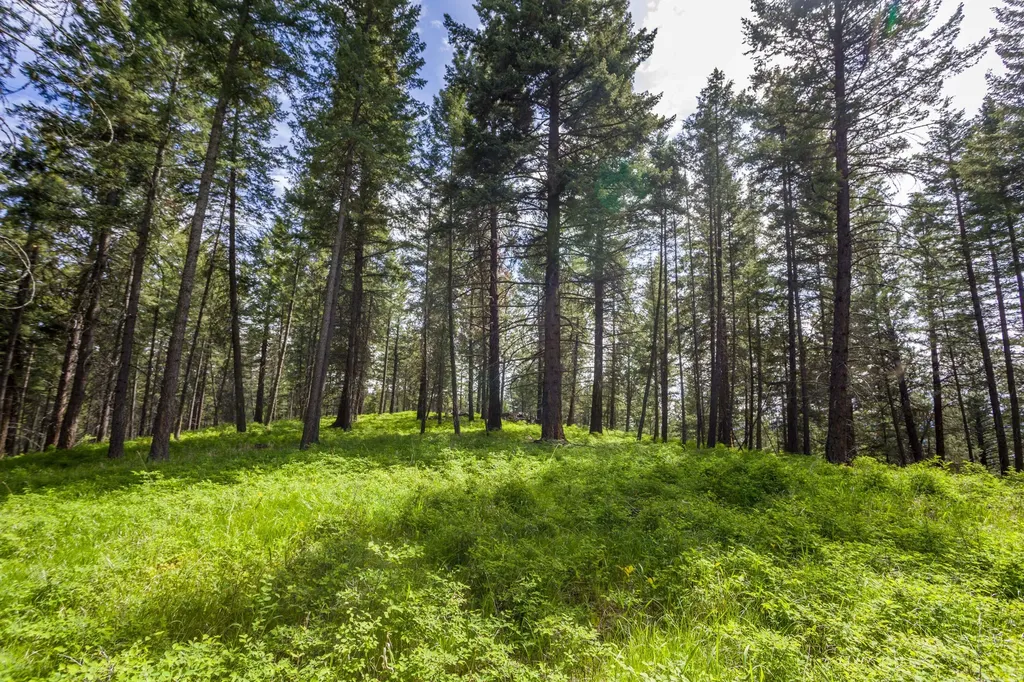 28 Doubletree Drive Bigfork MT 59911