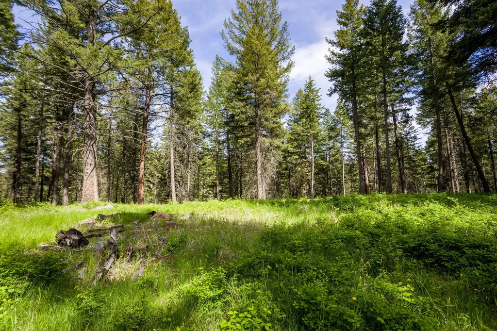 28 Doubletree Drive Bigfork MT 59911