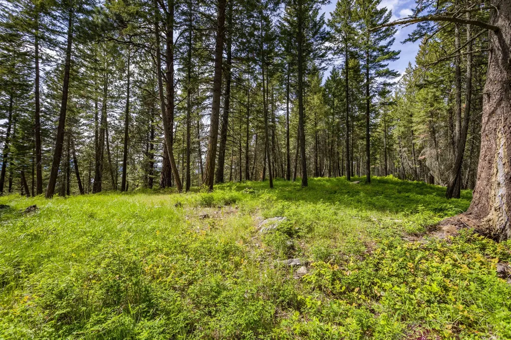 28 Doubletree Drive Bigfork MT 59911