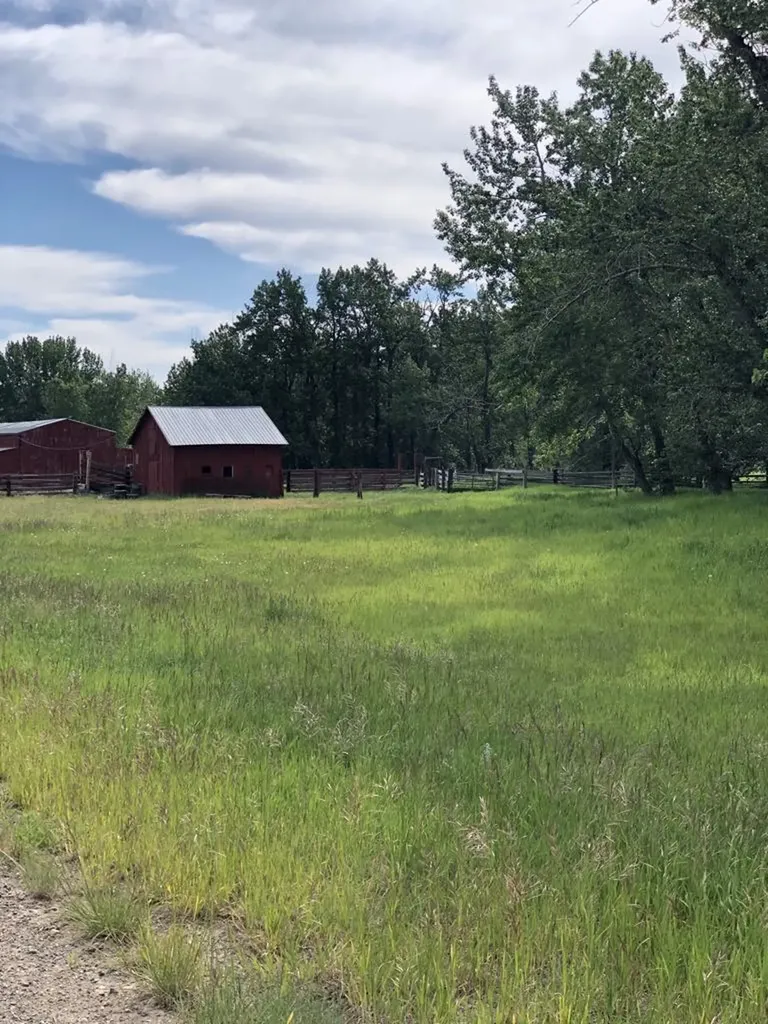 470 Duck Lake Road Browning MT 59417